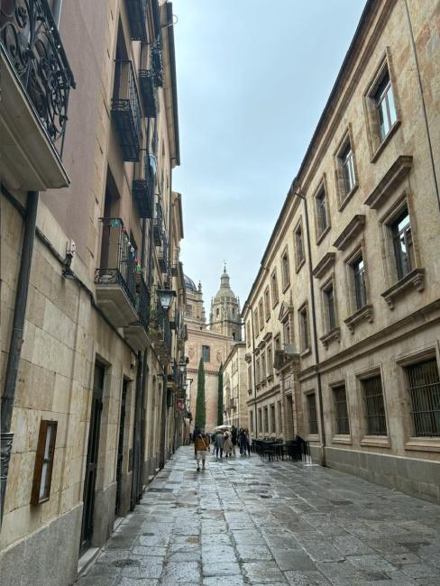 Salamanca_resized.jpg